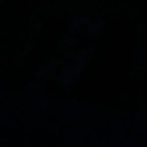 Meet your Posher, Tanner